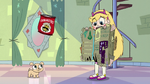 S2E25 Star Butterfly 'why is that in the middle?'