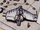 H-60 Tempest bomber