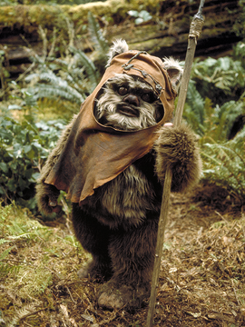 Wicket Wystri Warrick | Star Wars Canon Wiki | Fandom