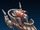 Bantha-class skiff
