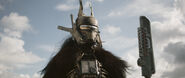 Enfys Nest Leader