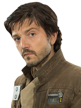 Cassian Andor Fathead