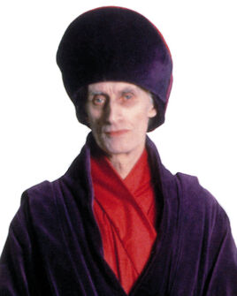 SimAlooPortrait-CSWE