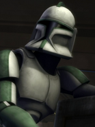 Green Company trooper