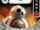 BB-8