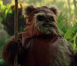 Wicket Wystri Warrick | Star Wars Legends Wiki | Fandom