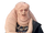 Bib Fortuna