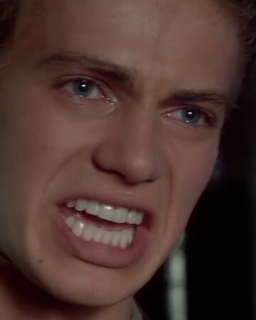 Anakin Skywalker Star Wars Memes Wiki Fandom