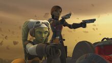 Sabine adn Hera.jpg