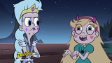 SVTFOE Puddle Defender (66)