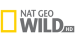 NGW HD.png