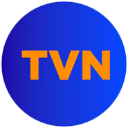 TVN Logo 2023