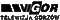 VIGOR GORZÓW.gif