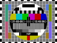 TVP testcard (2009)
