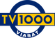TV1000 logo 2004.png