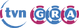 TVN Gra.svg.png