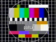 137-POLSAT