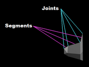 Segments Vs Joints2