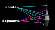 Segments Vs Joints