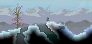 Snow Biome