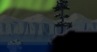 Snow Biome with an aurora.