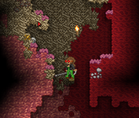 Flesh Biome