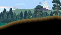 Forest Biome