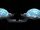 Endeavor pods