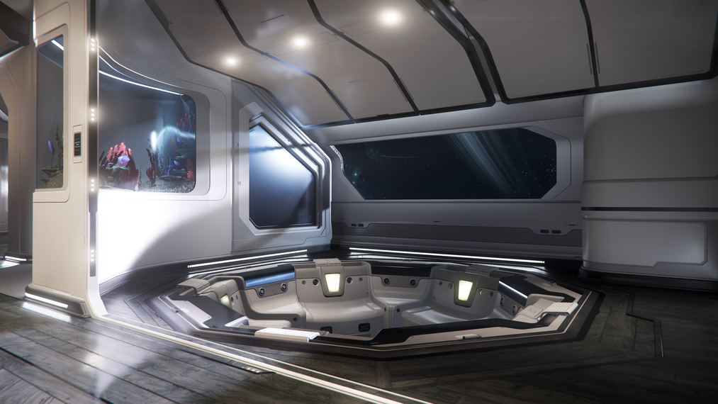 Inside Star Citizen: Ship Trip