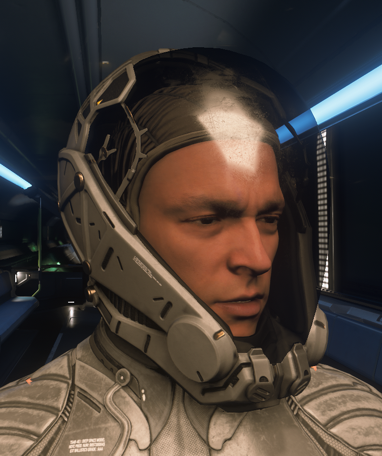 Fieldsbury Dark Bear Helmet - Star Citizen Wiki