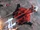 Pirate Gladius