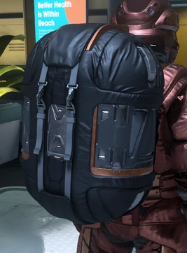 Pembroke Backpack back