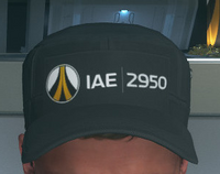 IAE 2950 T-shirt and hat