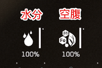 プレイヤーの健康状態02.png