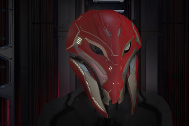 Fieldsbury Dark Bear Helmet - Star Citizen Wiki