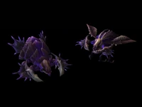 2. Locusts Leviathan Brood.jpg