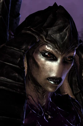 Izsha SC2-HotS Portrait