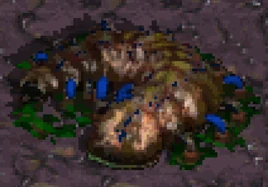 FragileCerebrate SC1 Game1