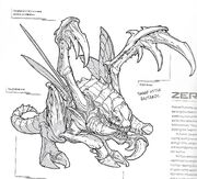 Zergling SC-FM Art1