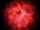 Dark archon