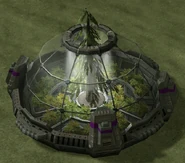 A forest bio-dome.