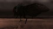Fly WoL Game1
