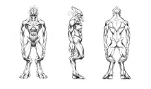 Анатомия протосса