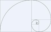 Fibonacci Spiral Real1