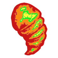 SCRZB Chrysalis Wireframe.png (36 KB) Remastered Young Chrysalis wireframe