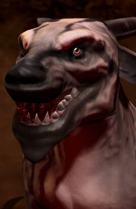Lyote SC2 Head1