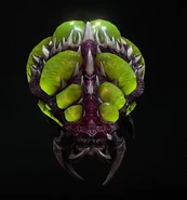 "The Baneling Roll" focus