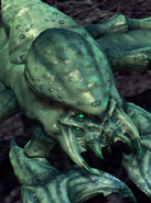 Primal drone portrait