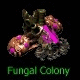 FungalColony SC1Dev Game2