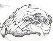 First sketches of the broodling's head